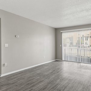 Empty living room with gray wood-look flooring, vertical blinds on a sliding glass door, and a closet